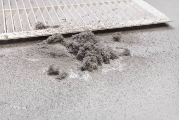 Best Dryer Vent Cleaning Services  in Palouse, WA
