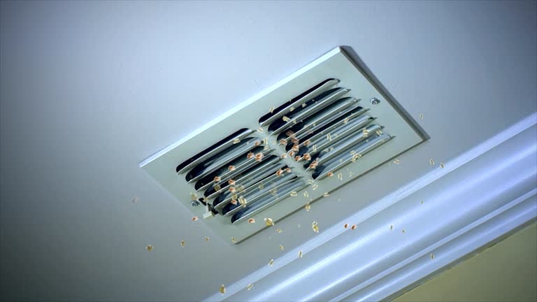 Best Air Duct Sanitizing Services  in Palouse, WA