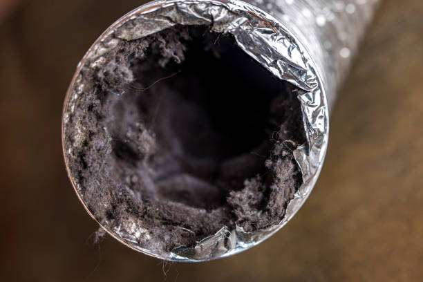 Best Air Duct Cleaning Near Me  in Palouse, WA